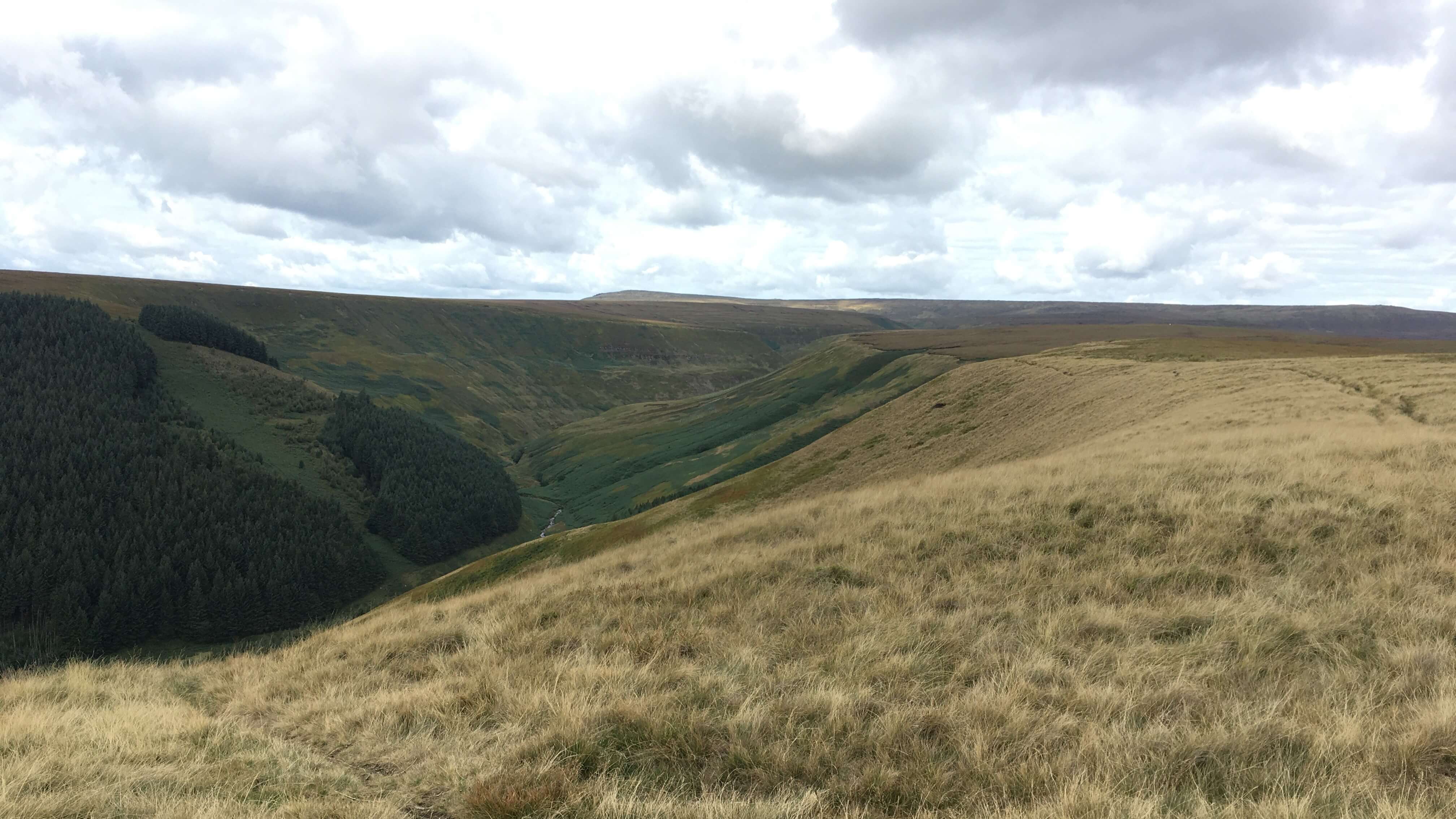 Alport Dale - 15 Sept 2022