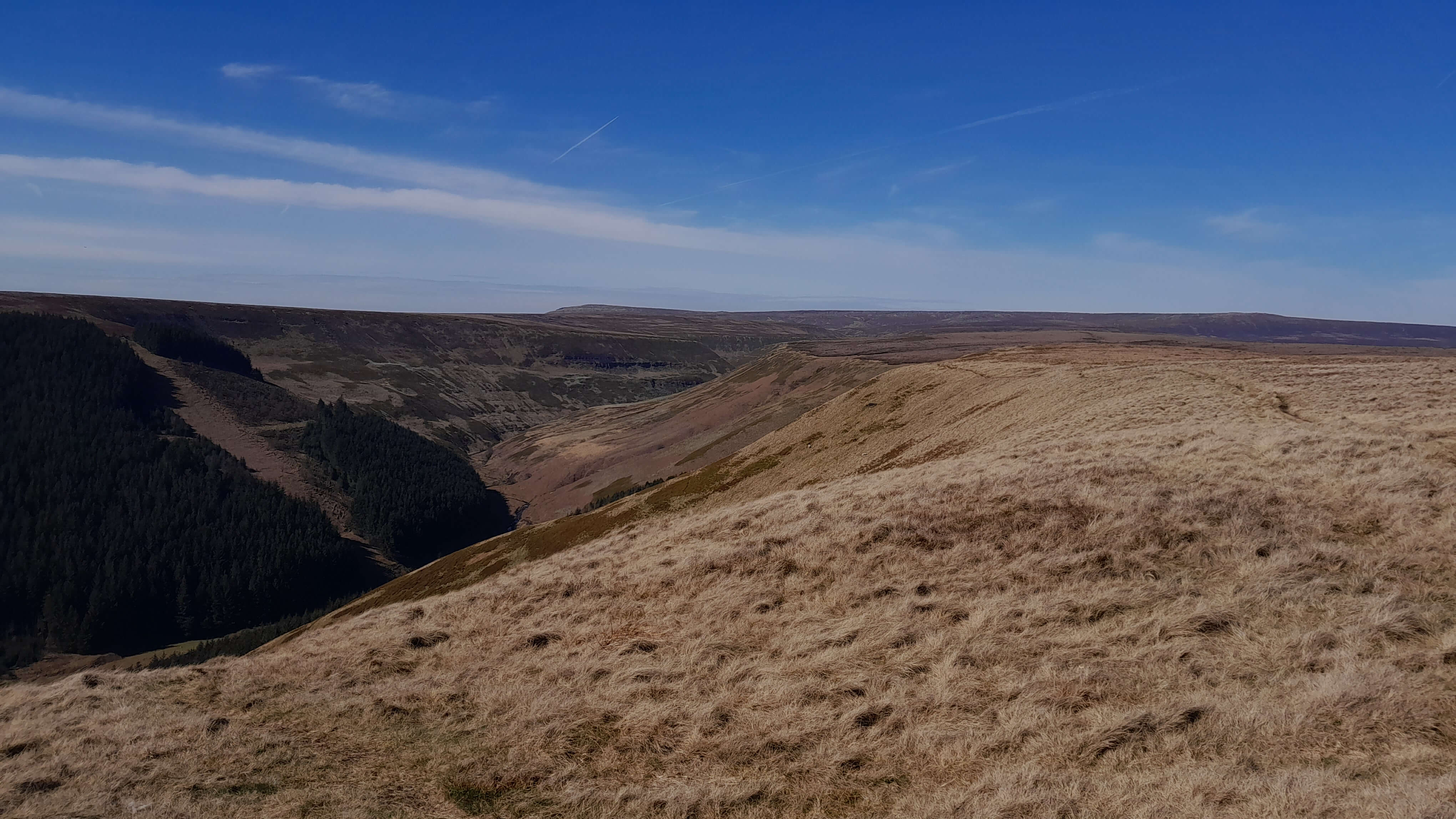 Alport Dale - 4 April 2023