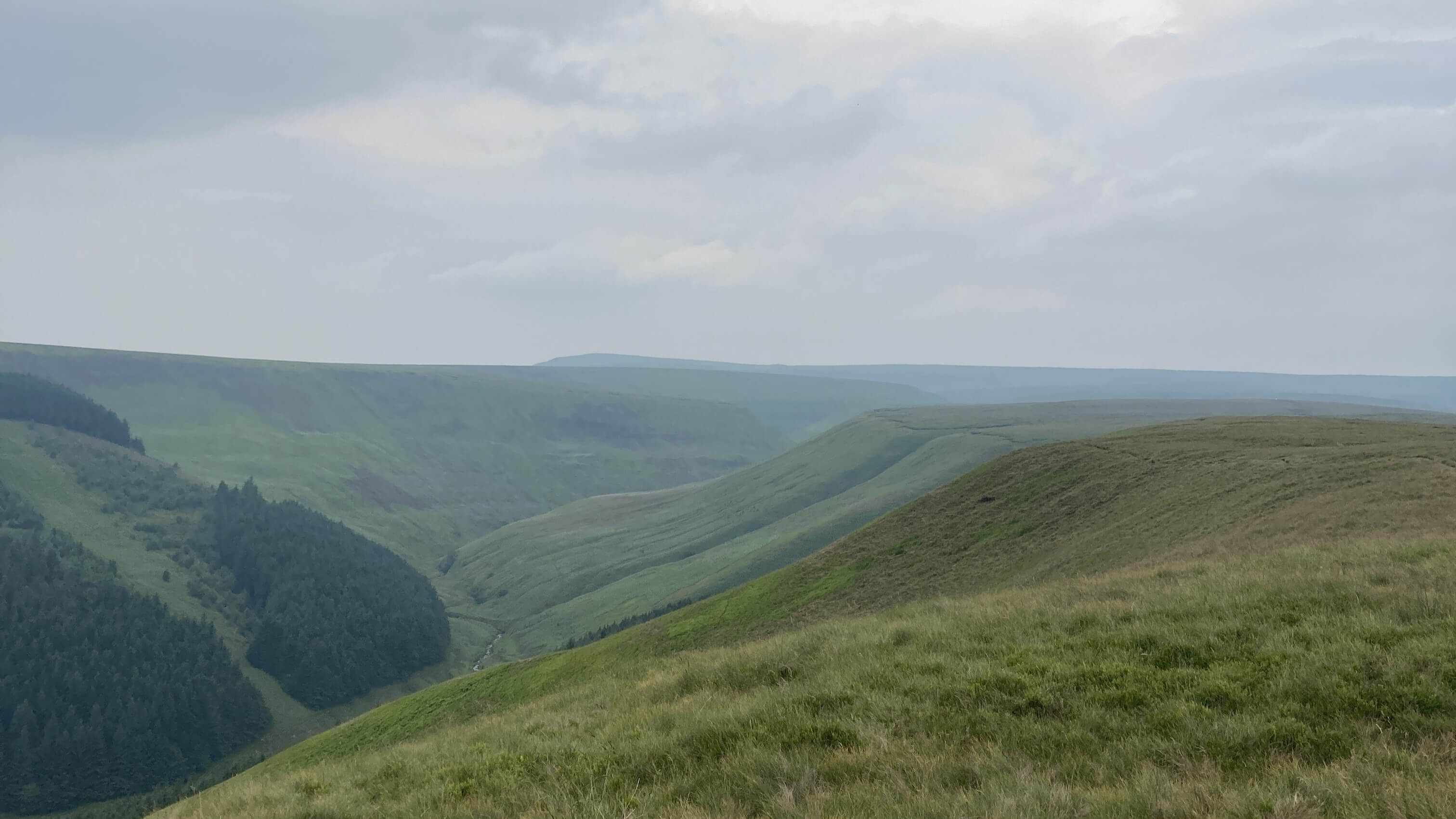 Alport Dale - 18 June 2023