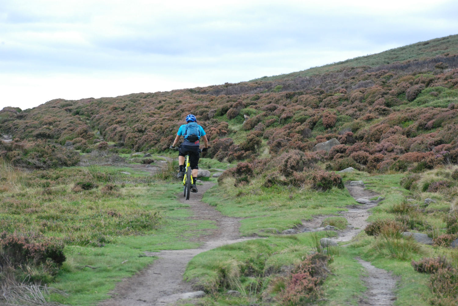 Cyclist on Cutthroat Track