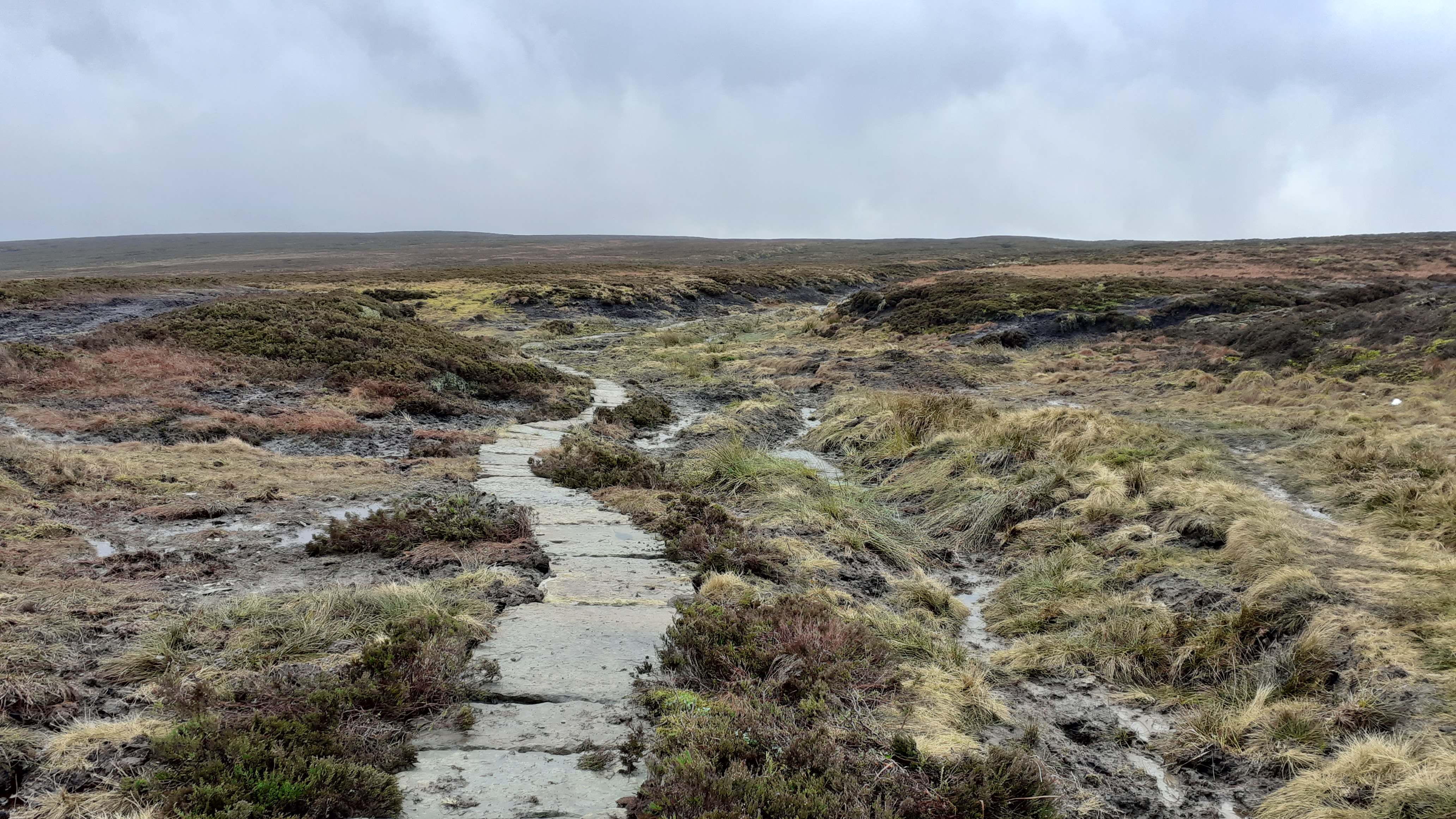 The bog of doom with new flagstones