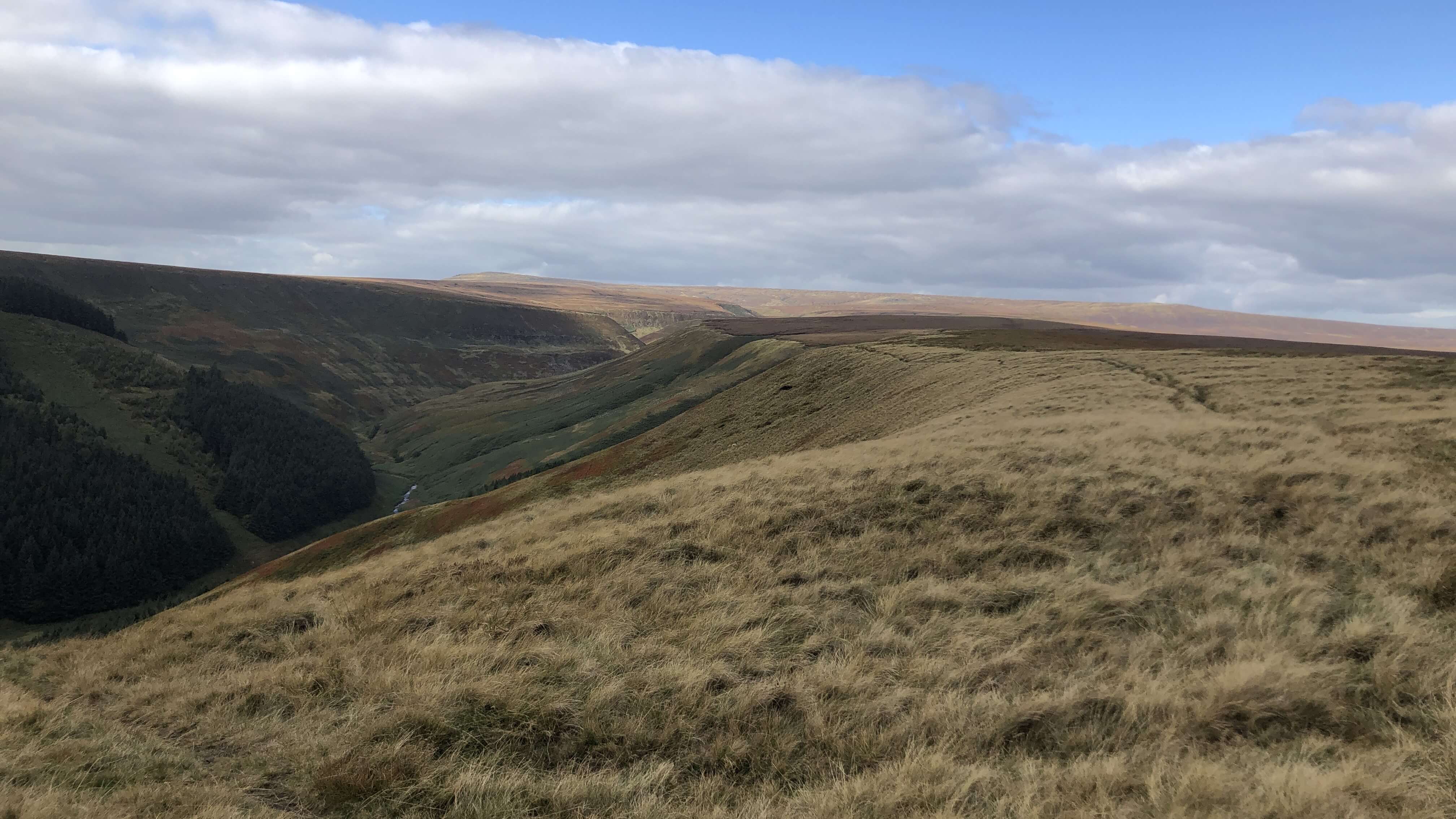 Alport Dale - 10 Oct 2023