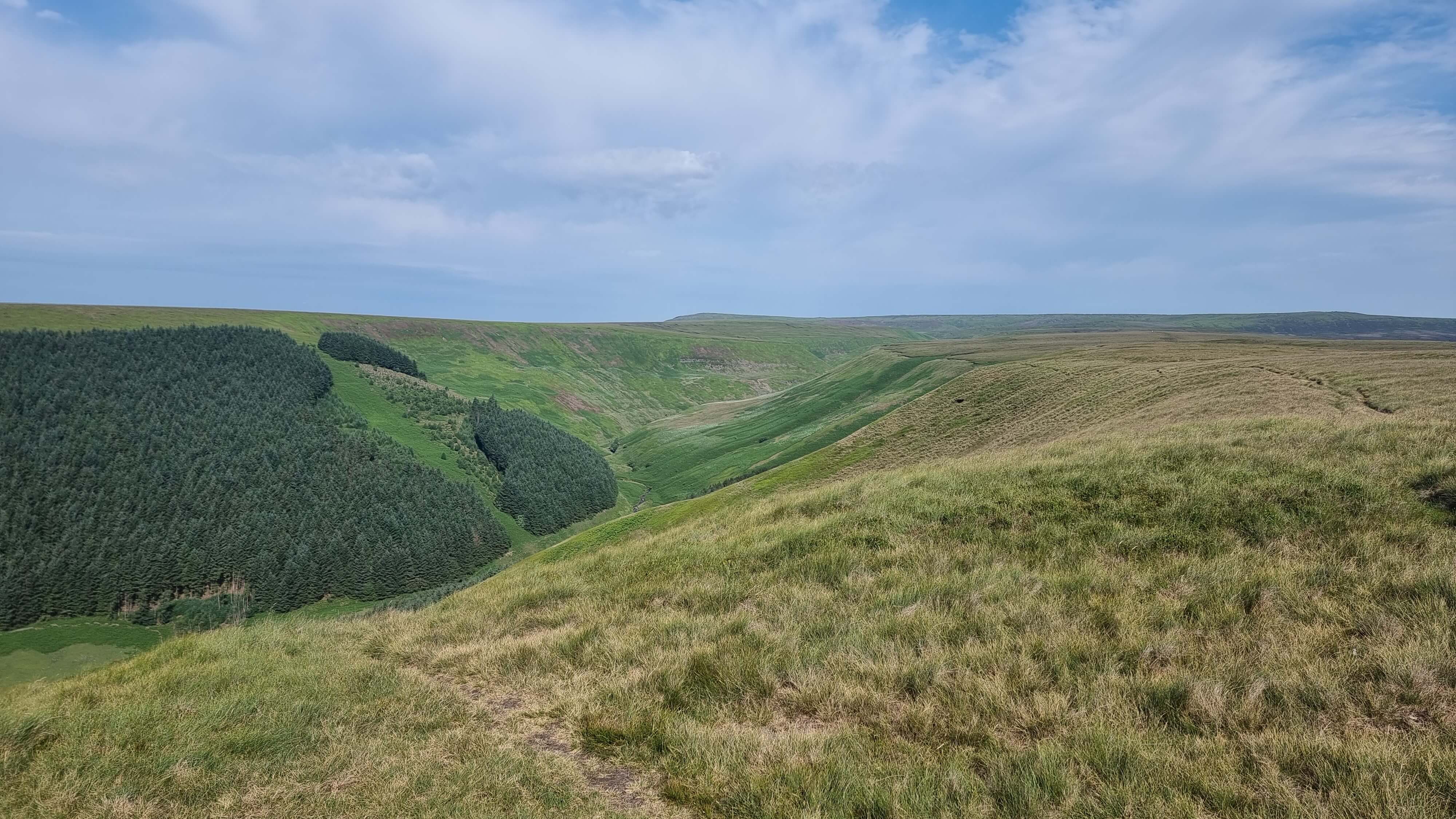 Alport Dale - 25 June 2023