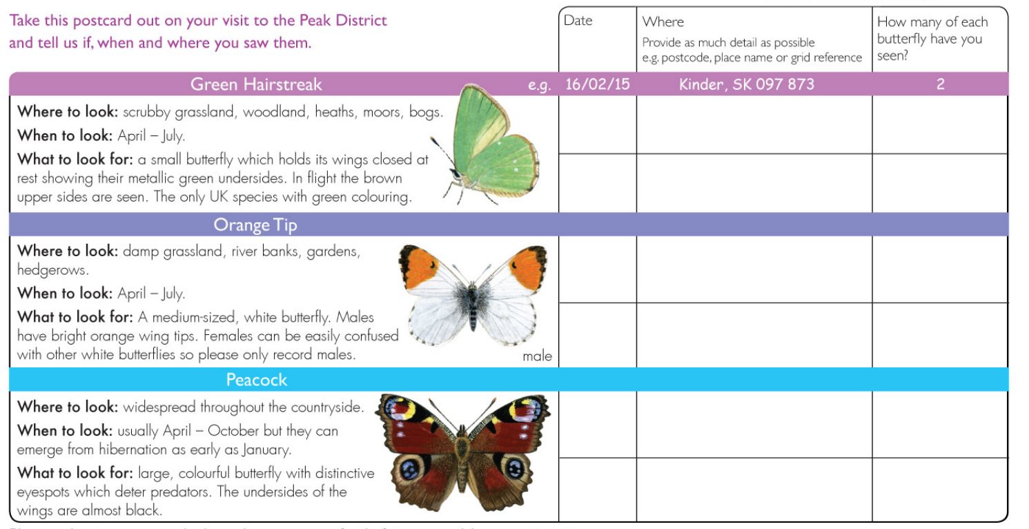 Survey form for recording butterflies