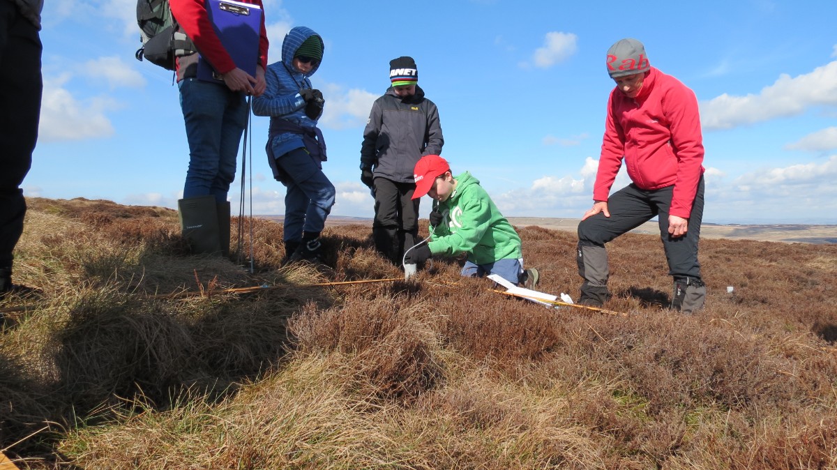 Young rangers surveying vegetation