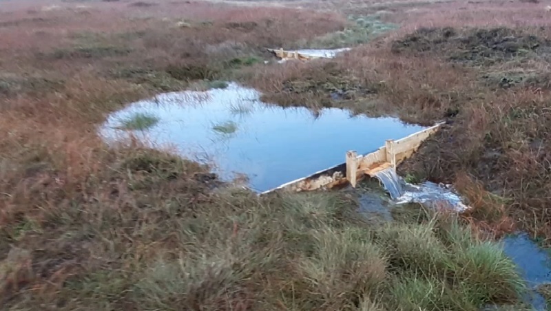 Gully blocks Channels are blocked to retain water in the habitat and help restore the sites hydrology.