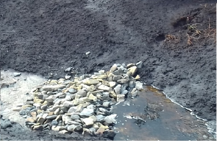 Gully blocks Channels are blocked to retain water in the habitat and help restoure the sites' hydrology