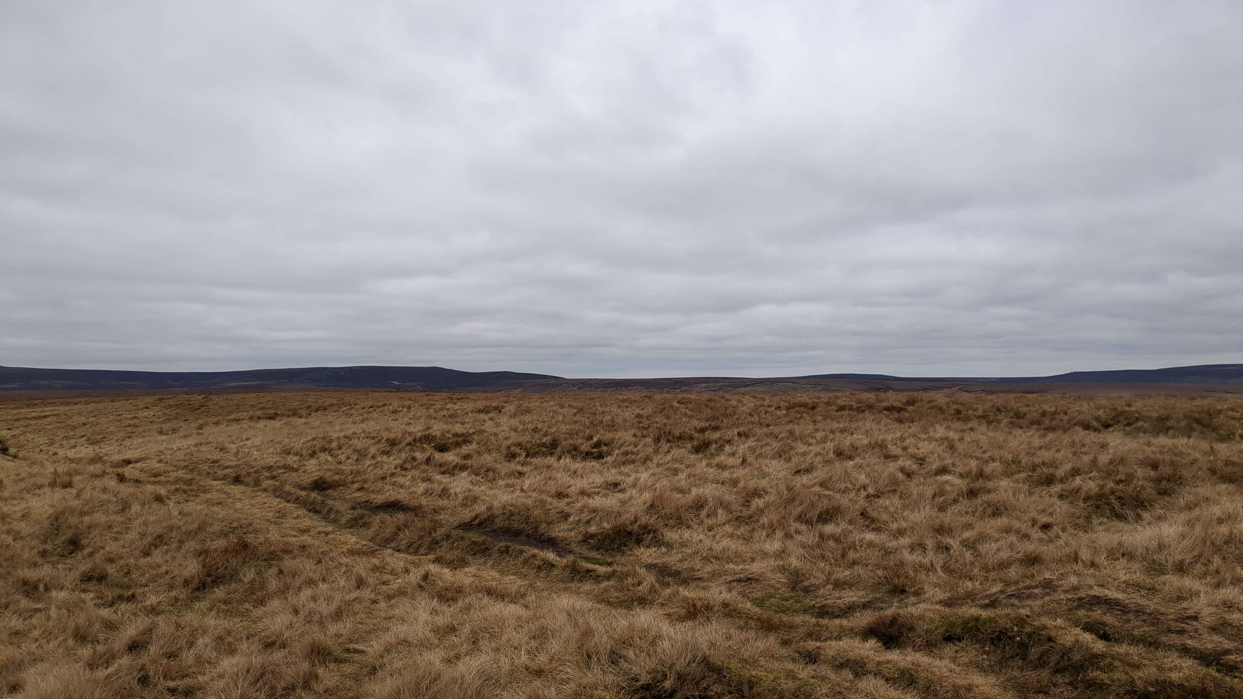 Alport Castles - 3 March 2023