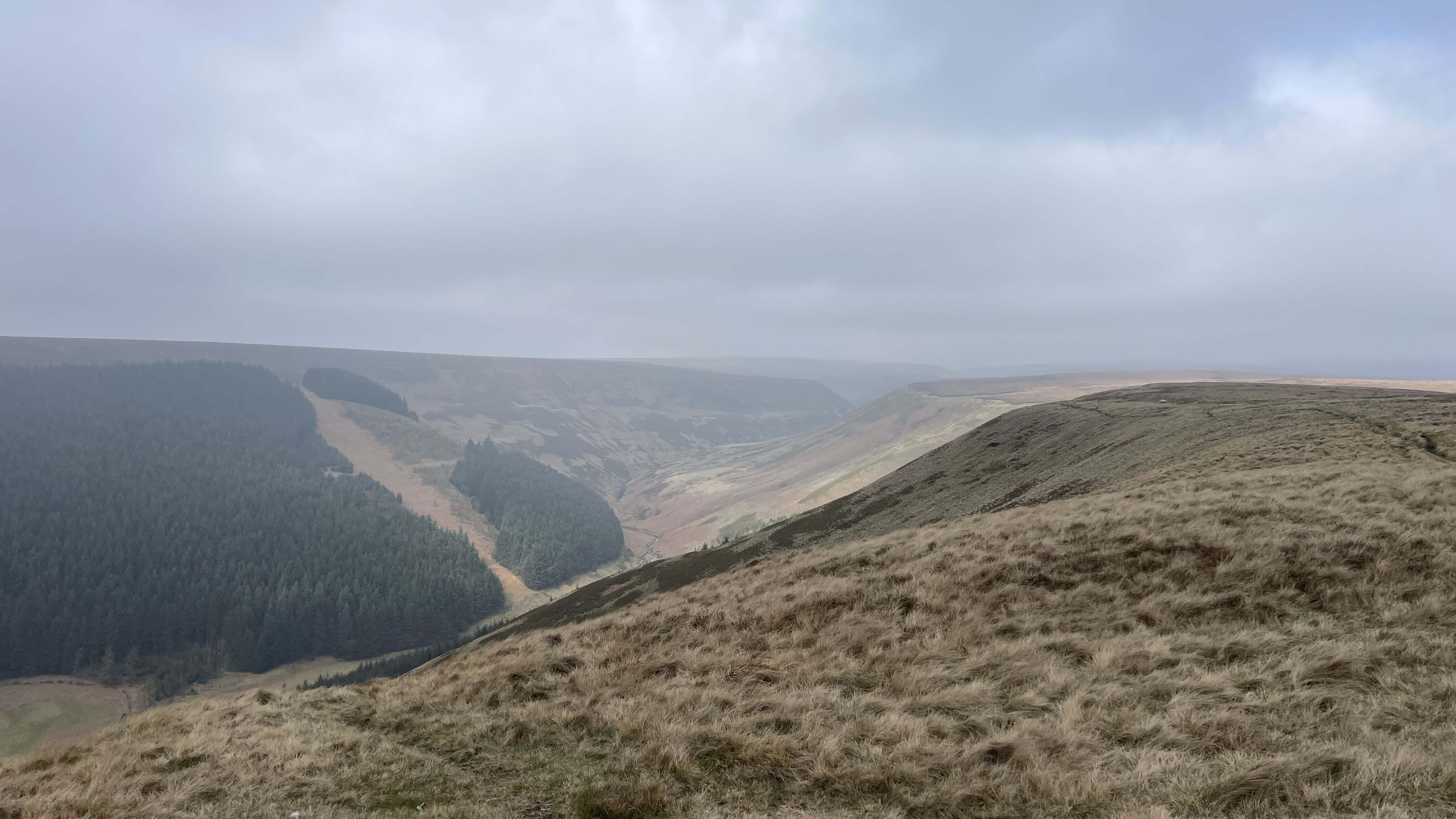 Alport Dale - 9 April 2023