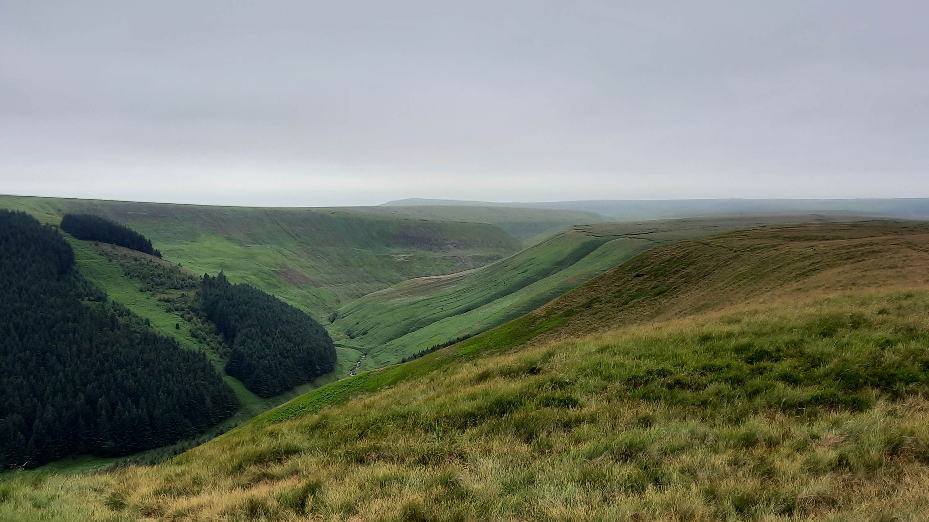 Alport Dale - 27 June 2023