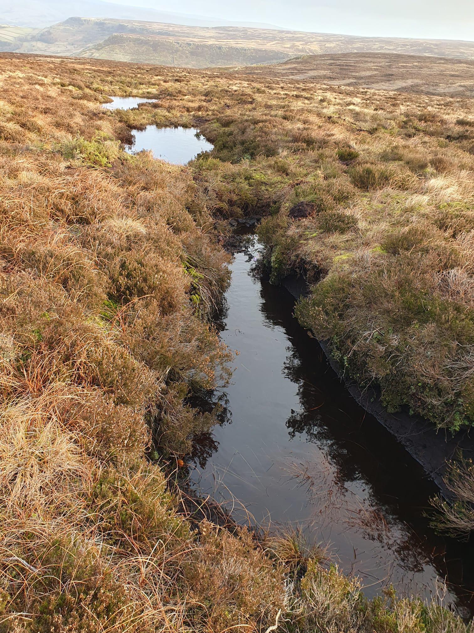 MGI_Peat Bunds on Combs Moss_Feb 2024