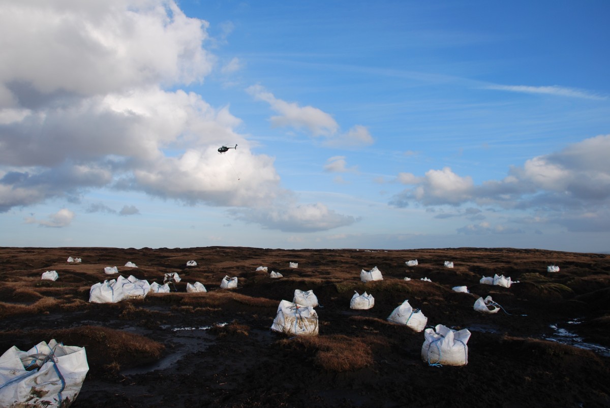 Image of numerous bags of projects