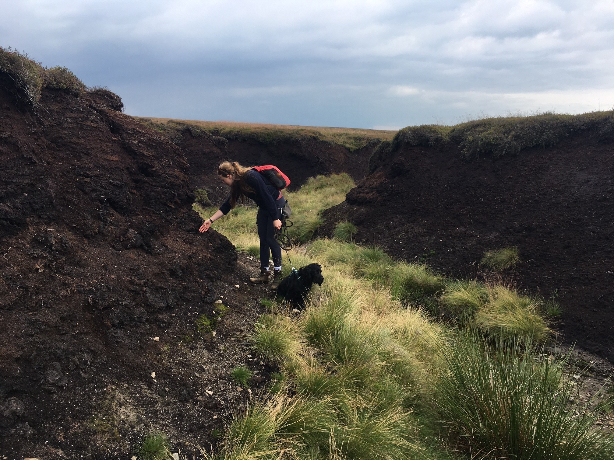 A deep gulley showing exposed peat