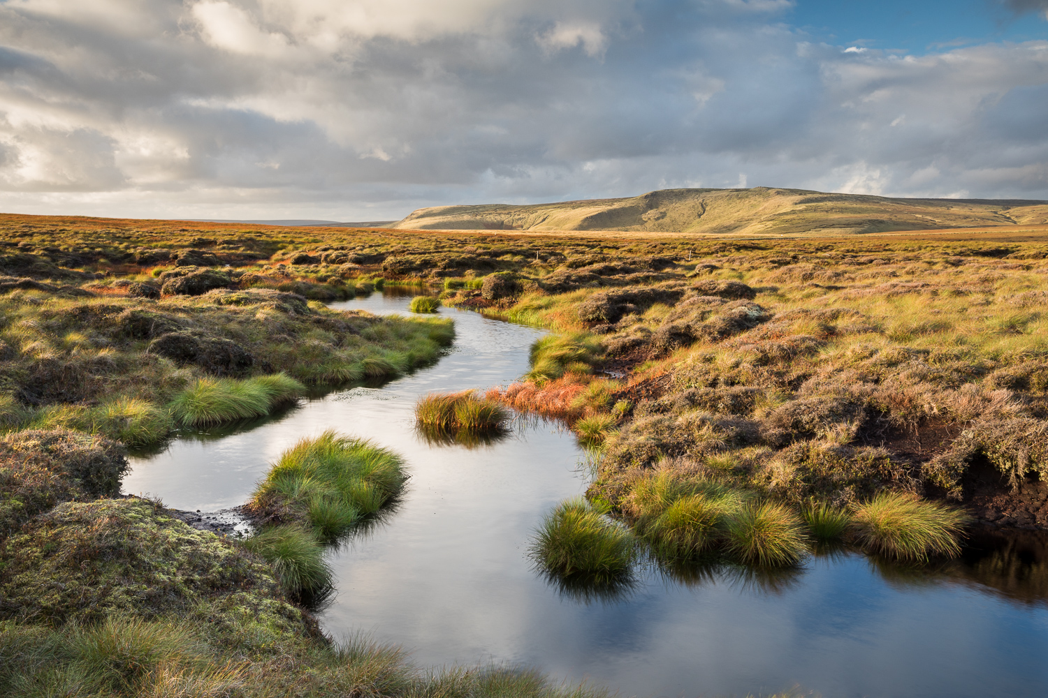 Kinder peatland