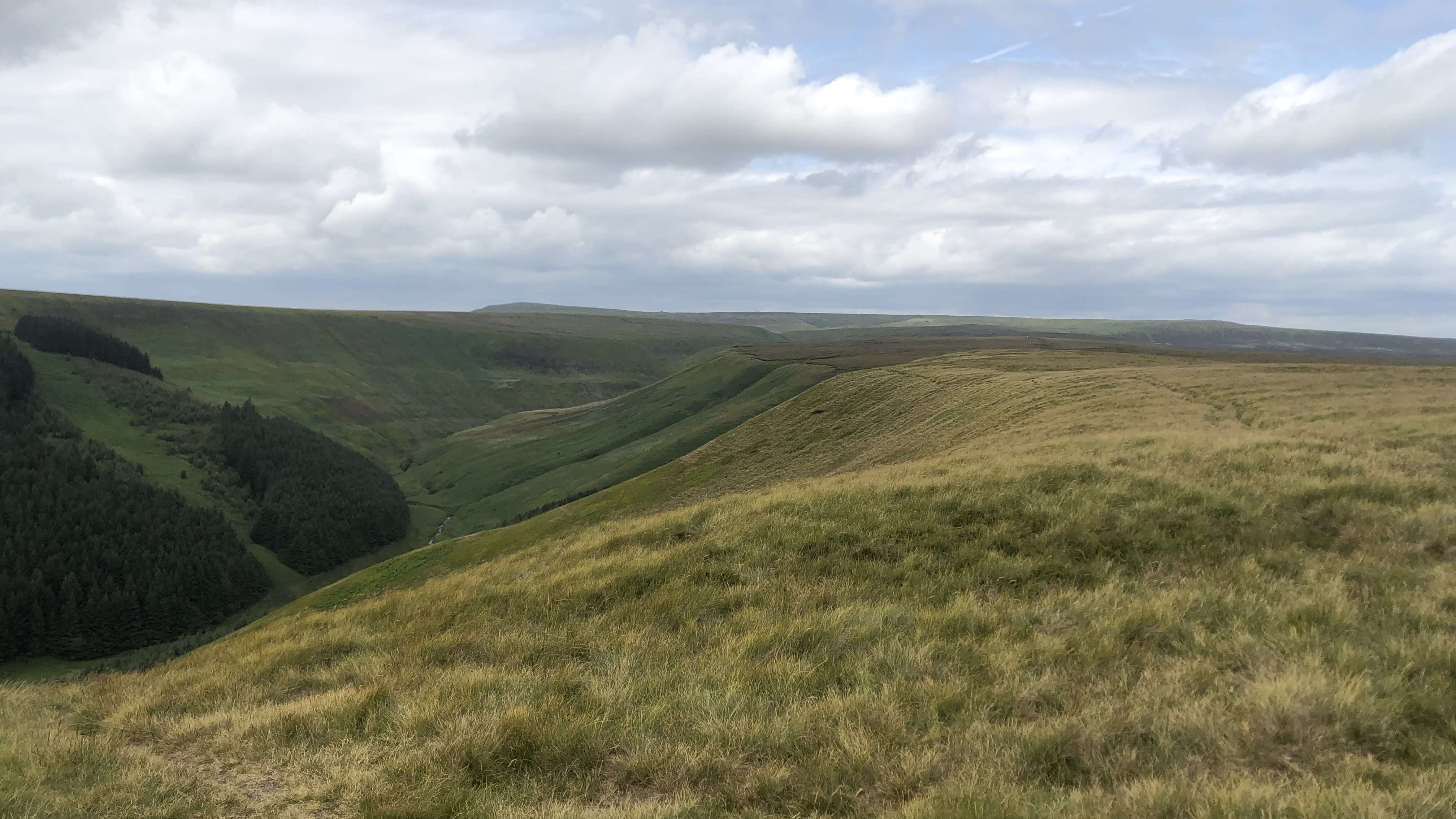 Alport Dale - 6 July 2023