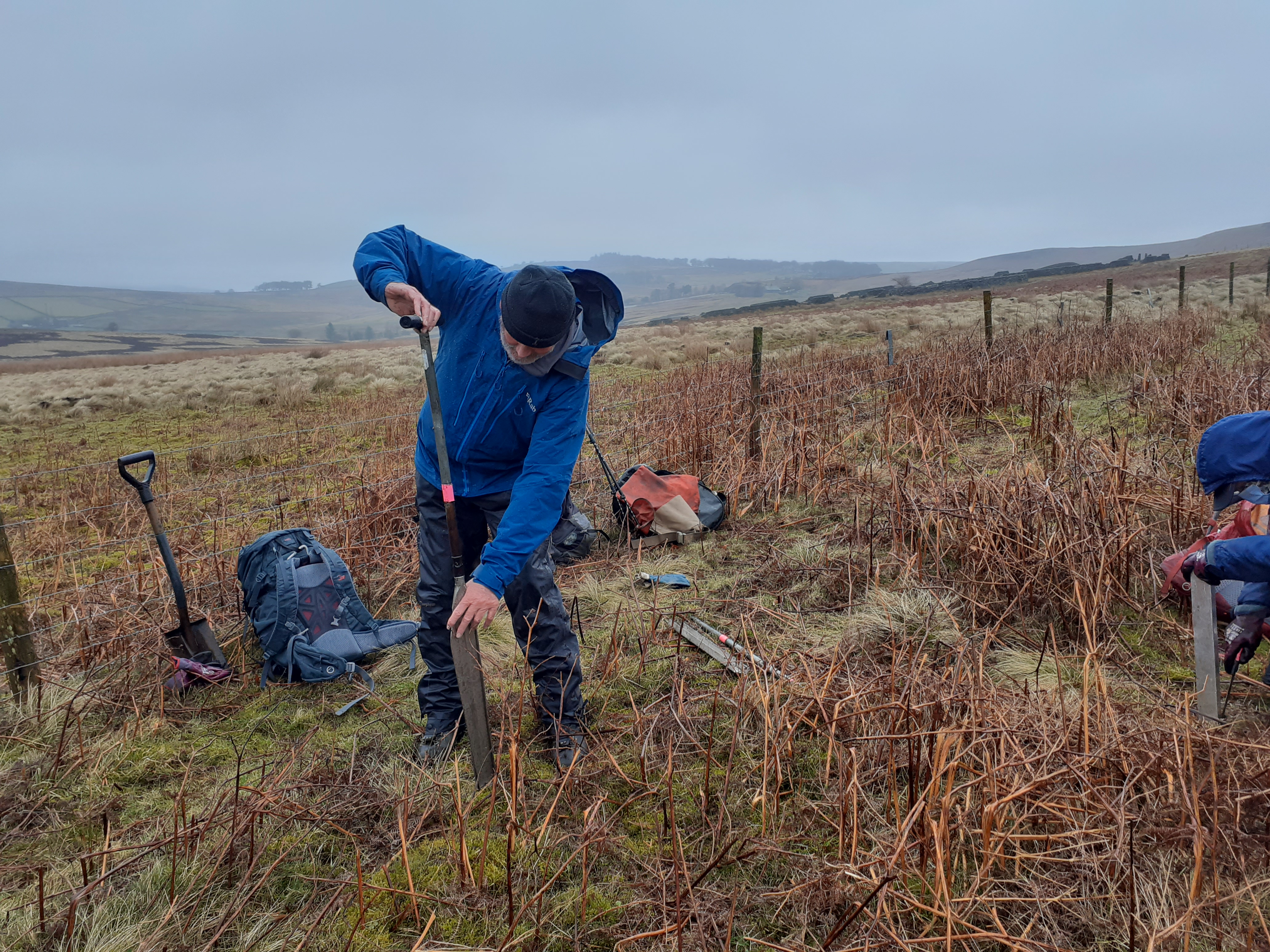 Taking peat cores