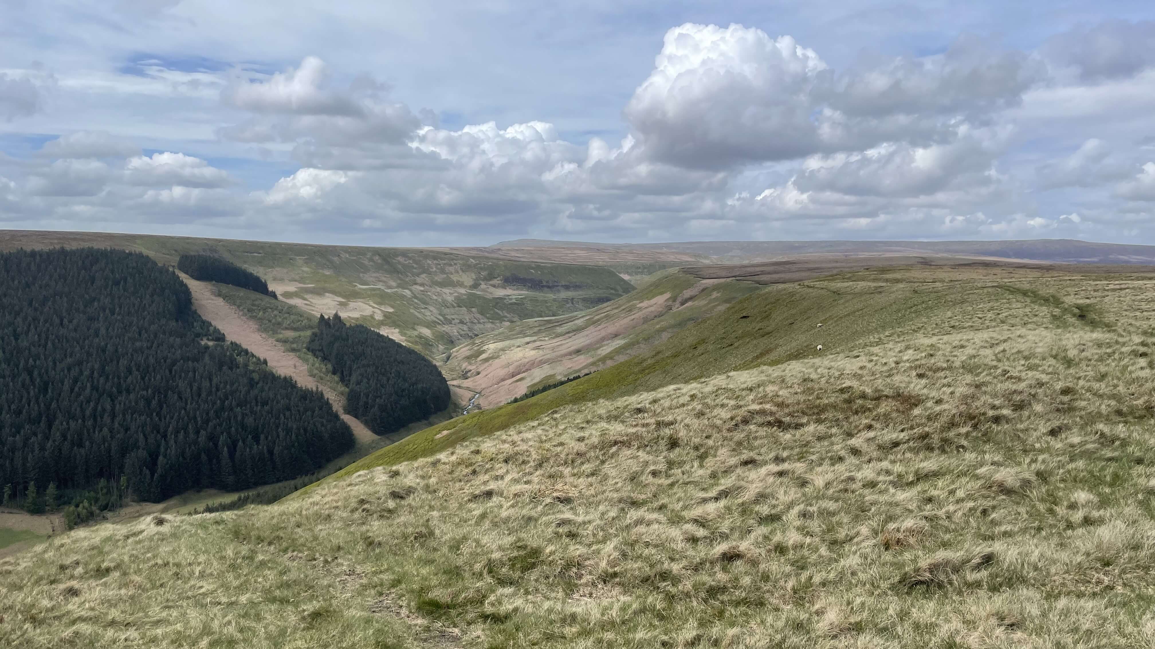 Alport Dale - 10 May 2023