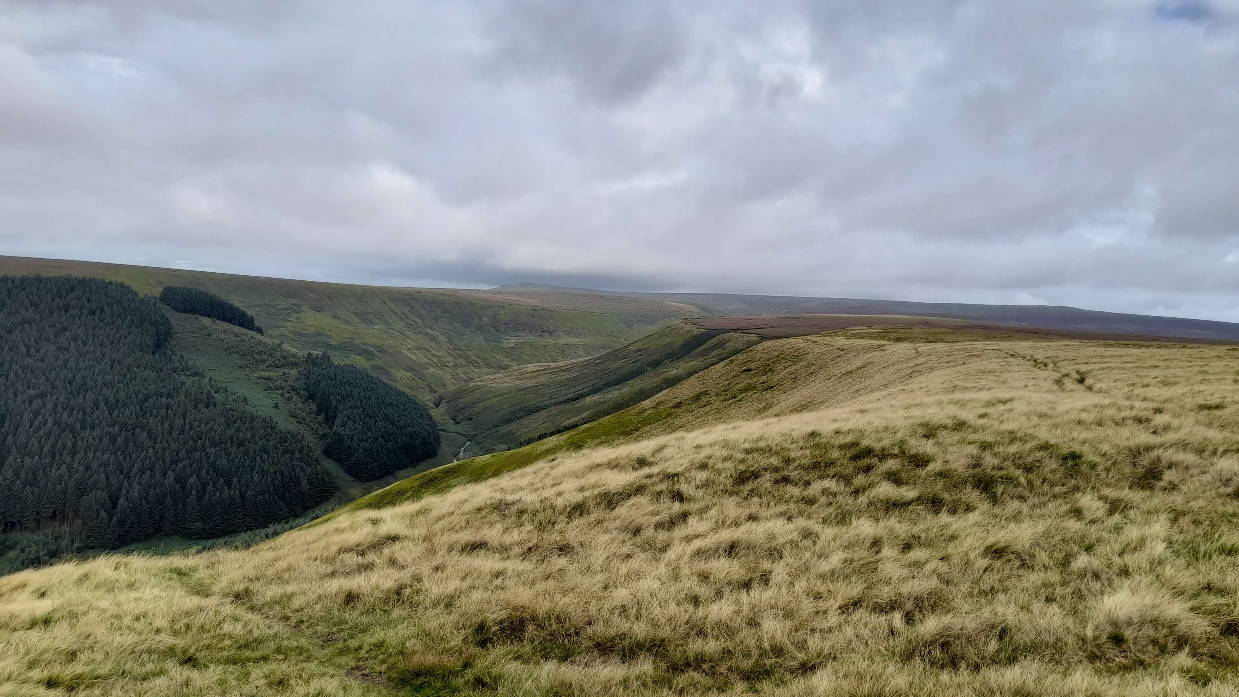 Alport Dale - 20 August 2023