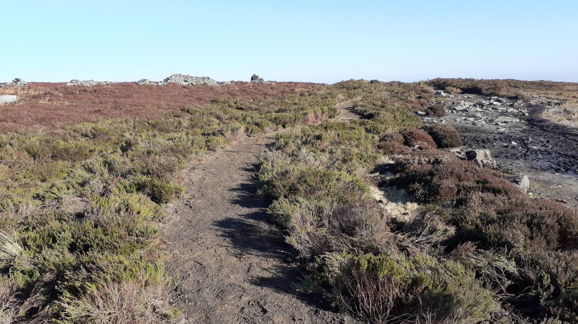 North America Bridleway after