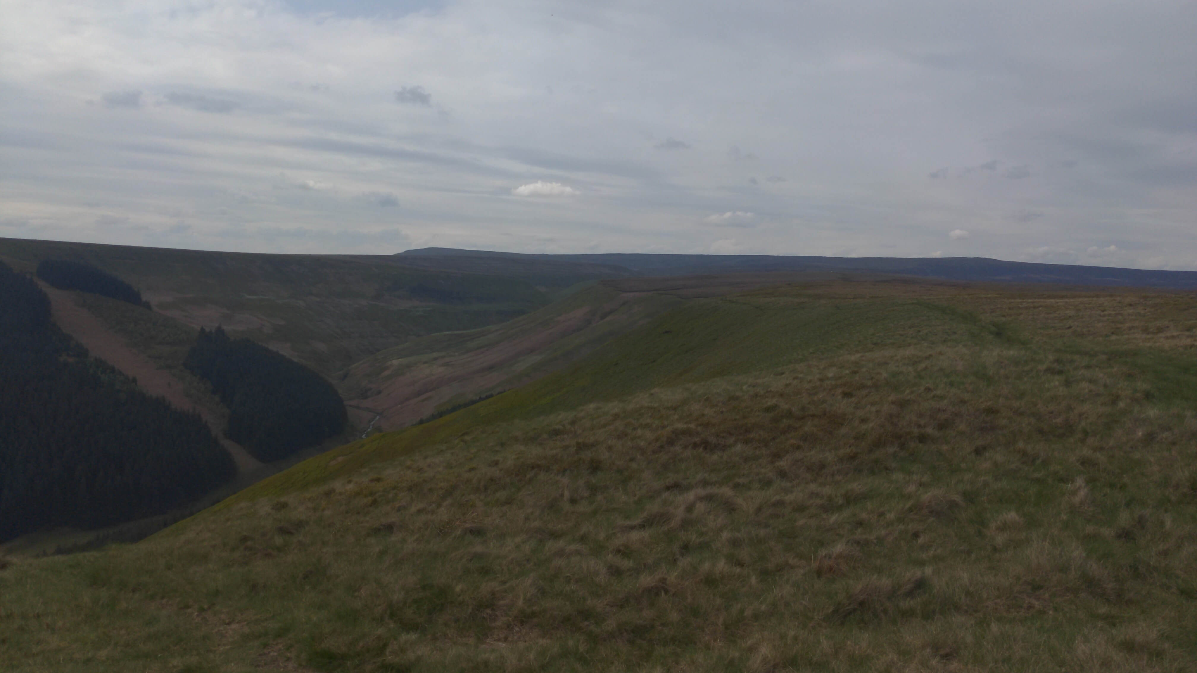 Alport Dale - 14 May 2023