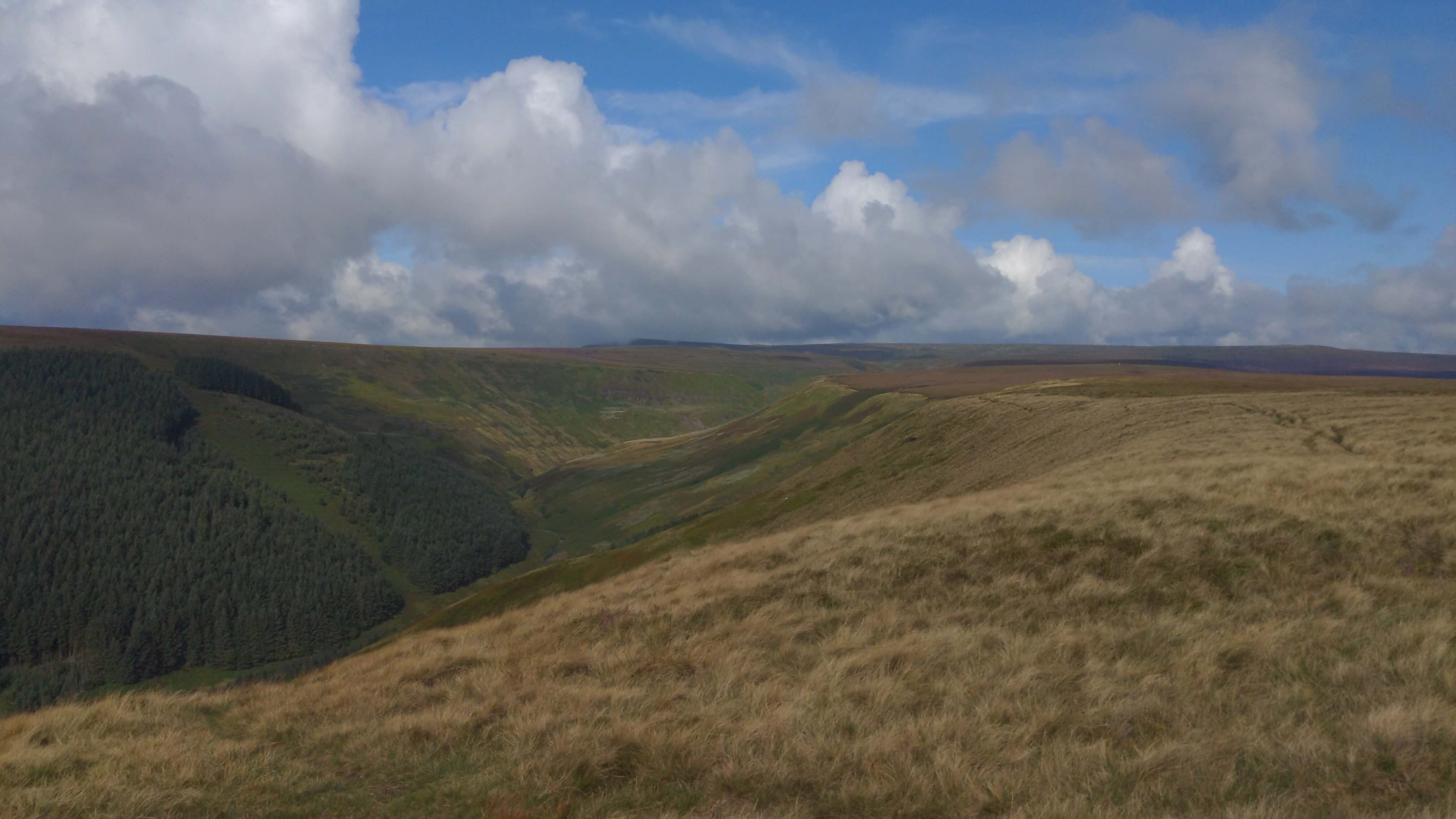 Alport Dale - 26 August 2023