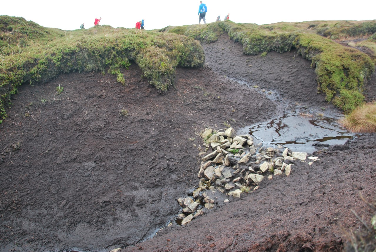 A stone dam in a gulley