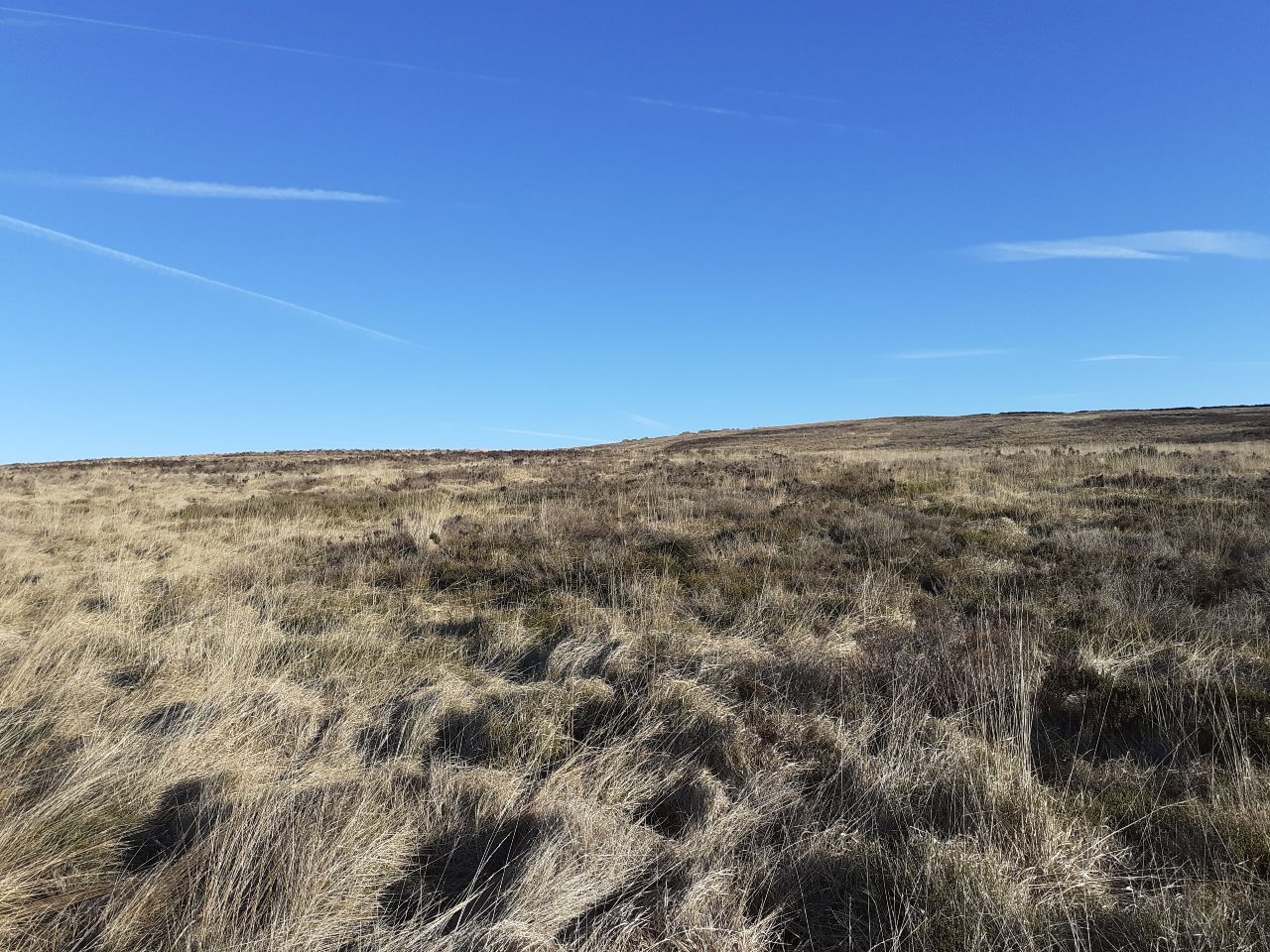 A moor in the sunshine