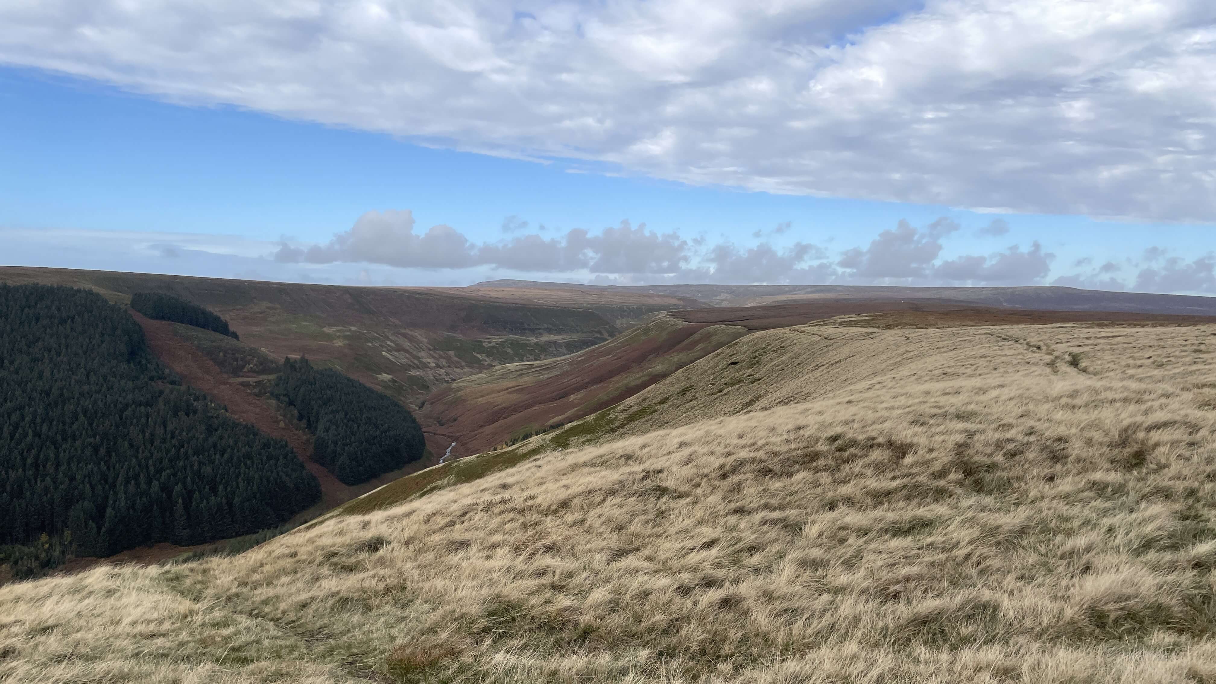 Alport Dale - 3 Nov 2022