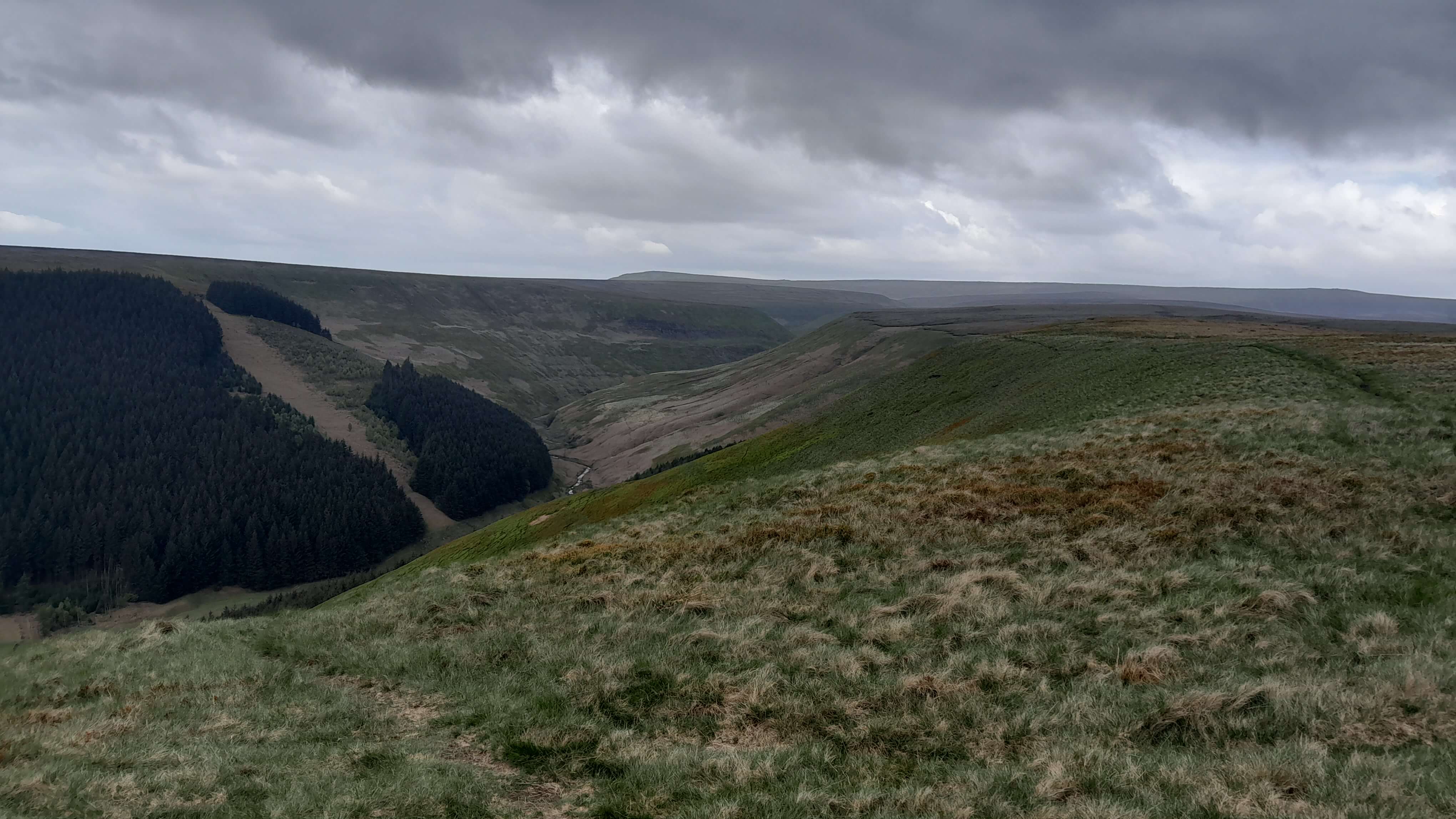 Alport Dale - 16 May 2023