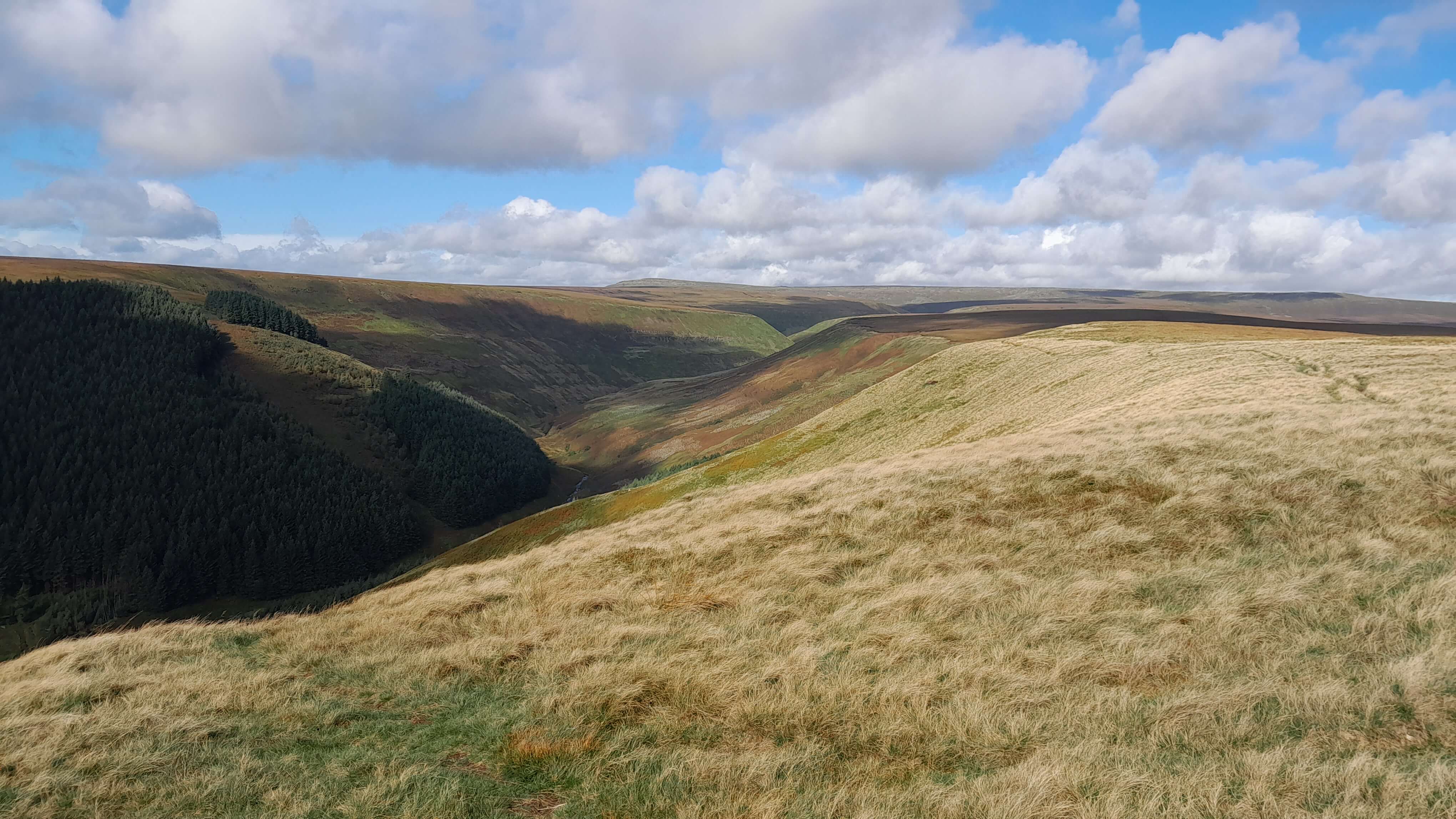 Alport Dale - 21 Sept 2023