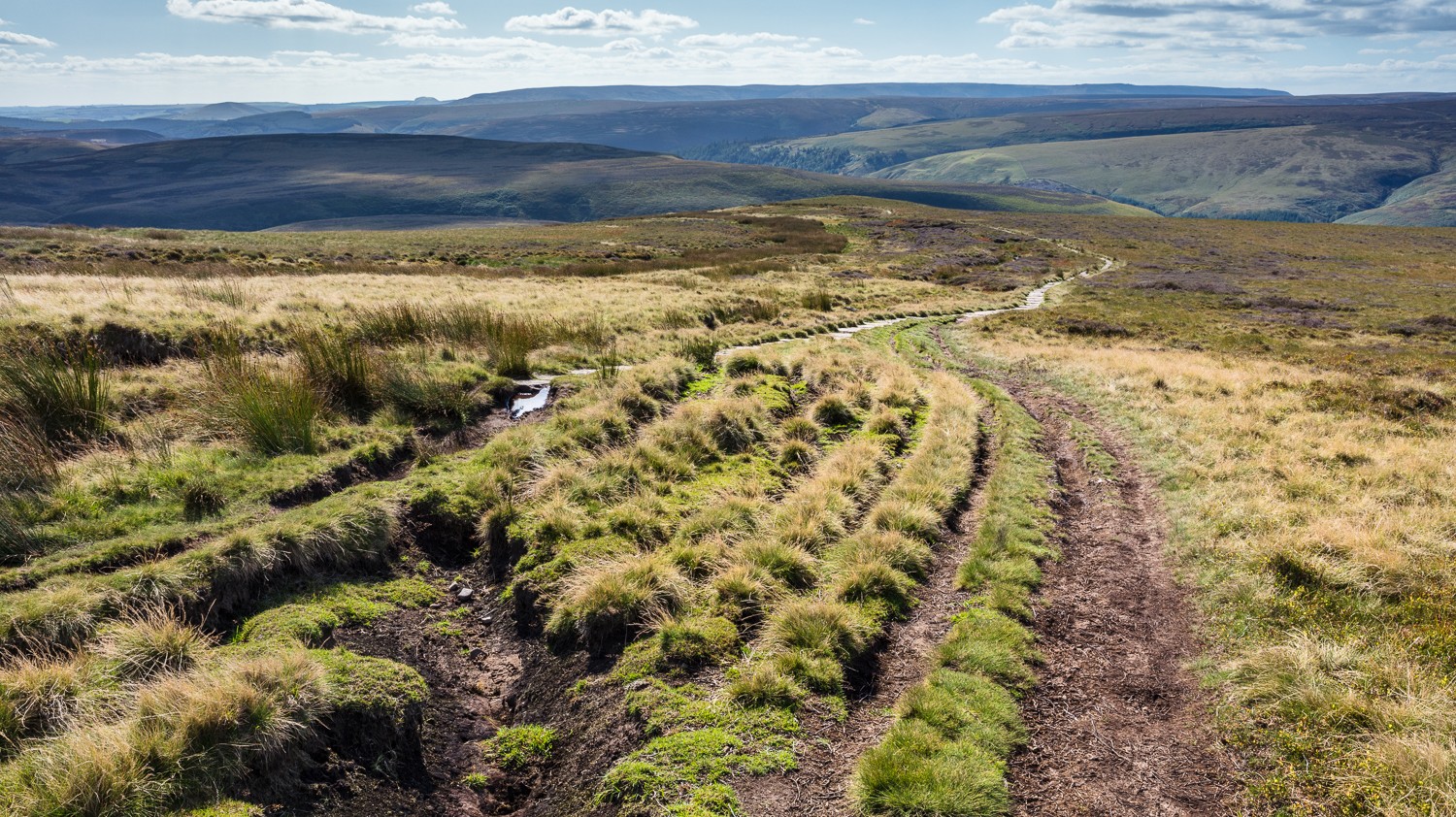 Rutted path on Howden Edge