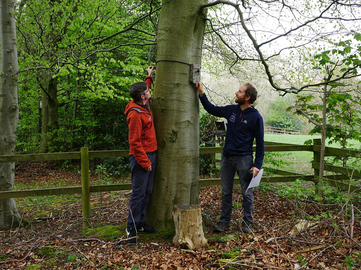 Research and Monitoring Officers set up first Moor Bats monitoring site