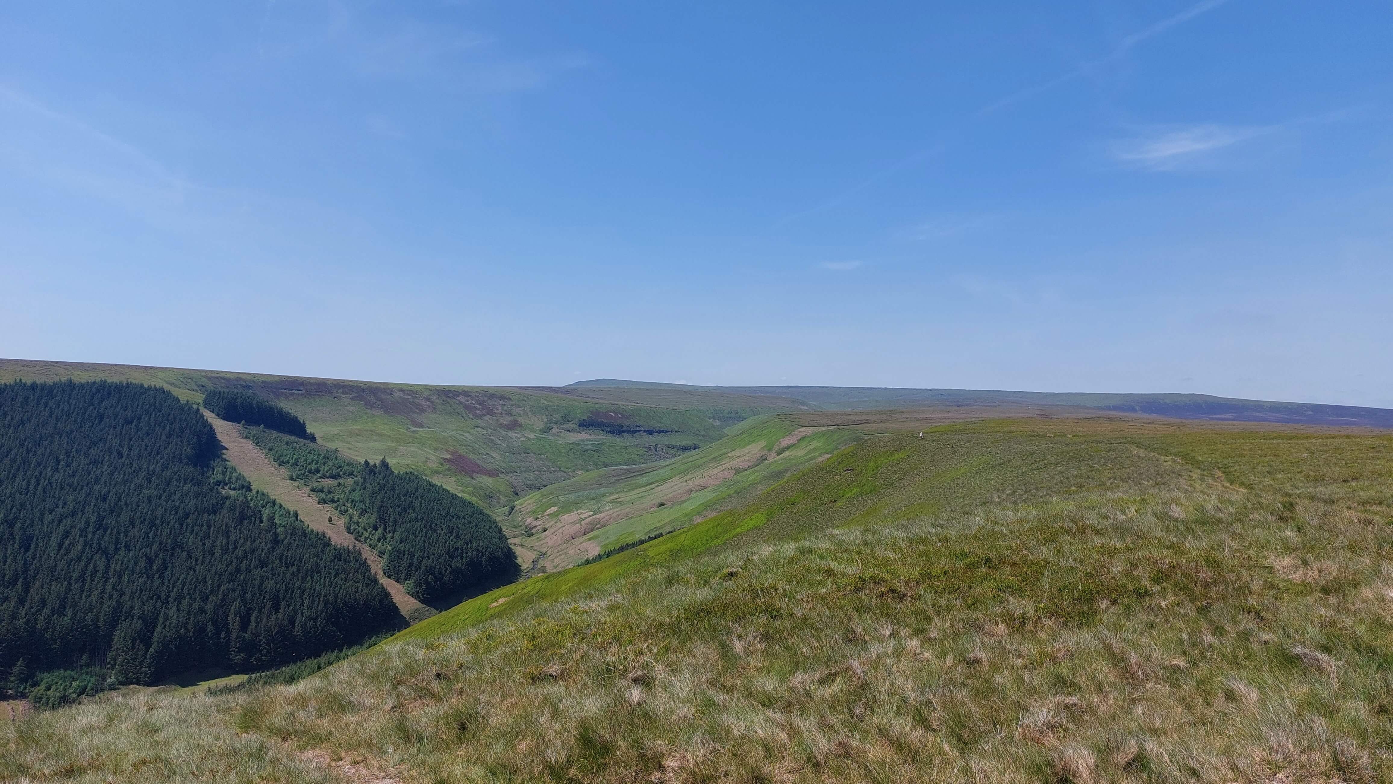 Alport Dale - 4 June 2023