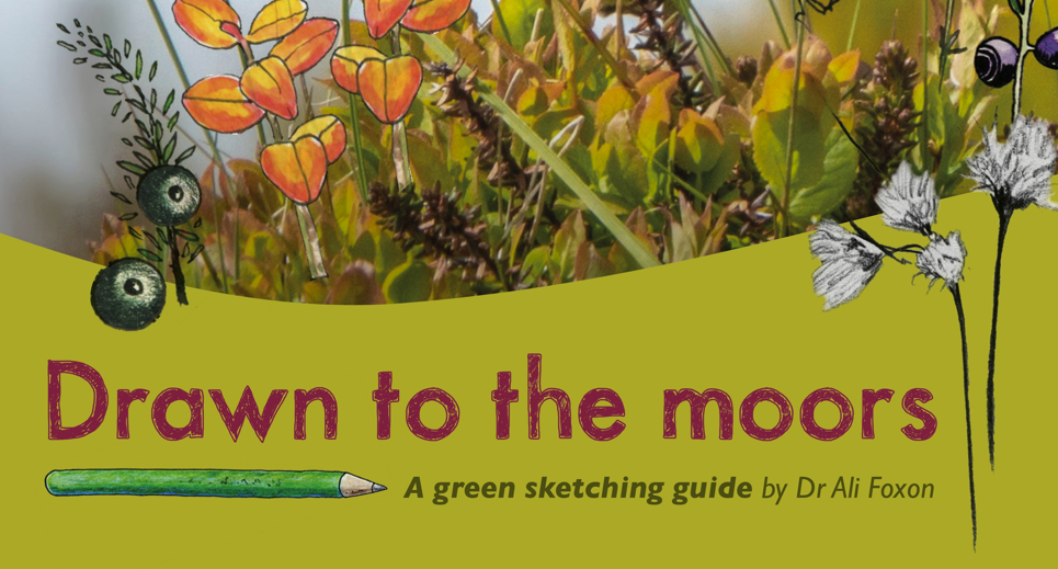 Drawn to the Moors - a grren sketching guide for everyone