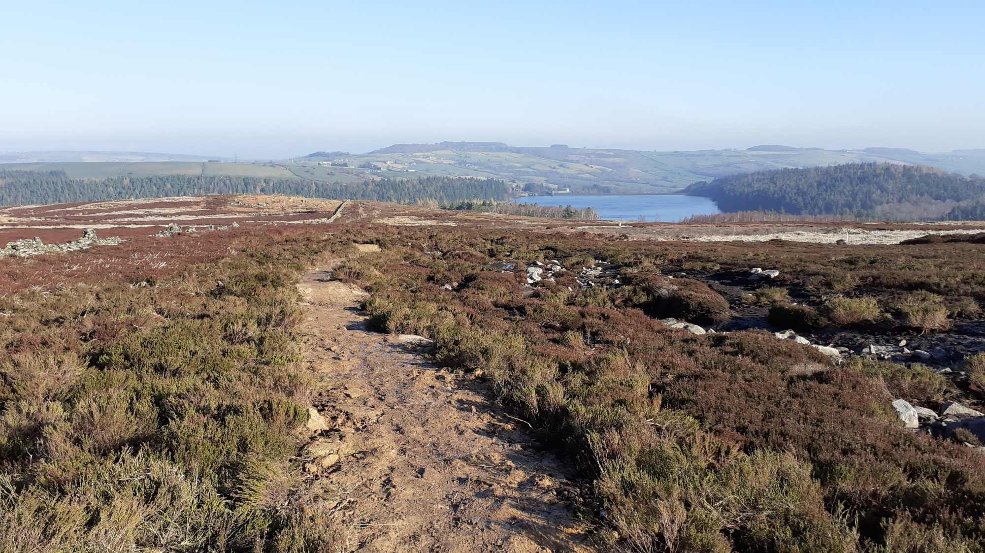 Recently finished section of North America bridleway